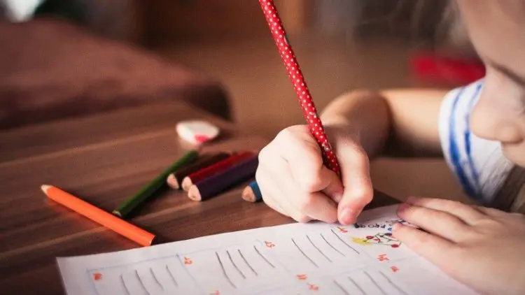 Nasihat untuk Para Orang Tua, Ajarilah Anak-anakmu Berdagang Sejak Dini