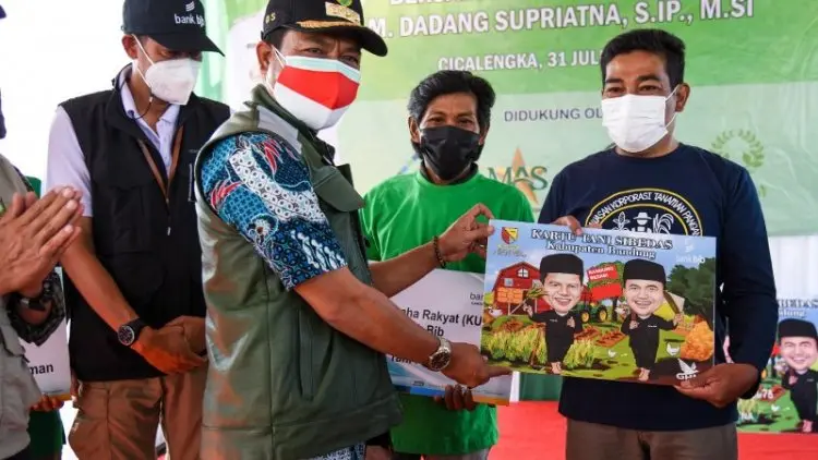 Bupati Bandung Dadang Supriatna Dorong Petani Budidaya Porang