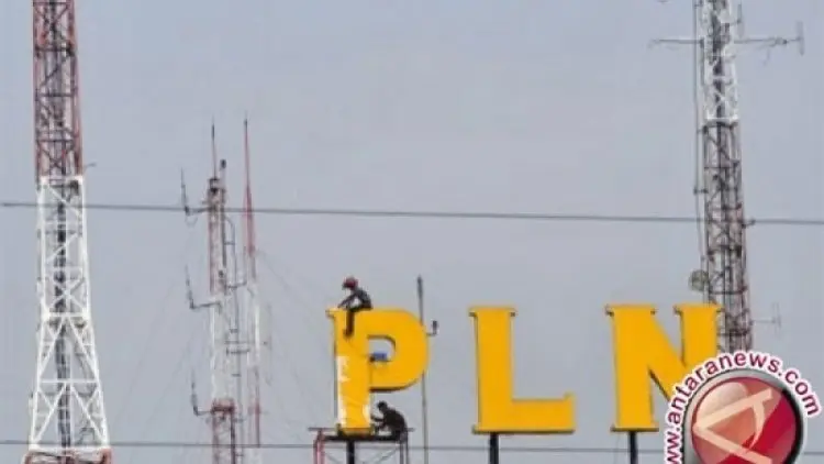 PLN Diminta Lebih Aktif Bangun Pembangkit Sendiri