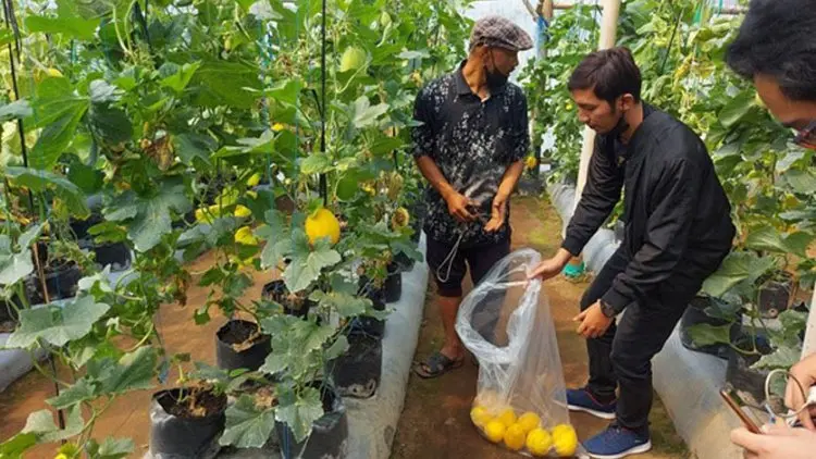 Mahasiswa MBA ITB Bantu Petani dalam Penerapan Teknologi Digital Agro