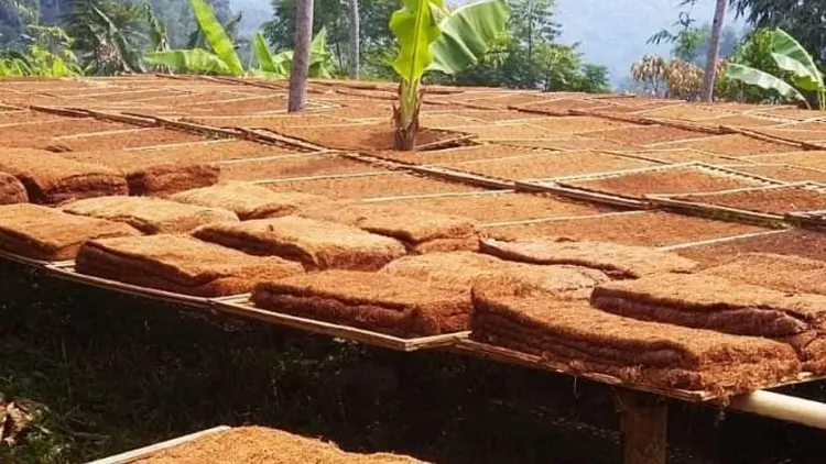 Mantap! Tingkatkan Keahlian Petani, Pemkab Bandung Manfaatkan DBHCHT