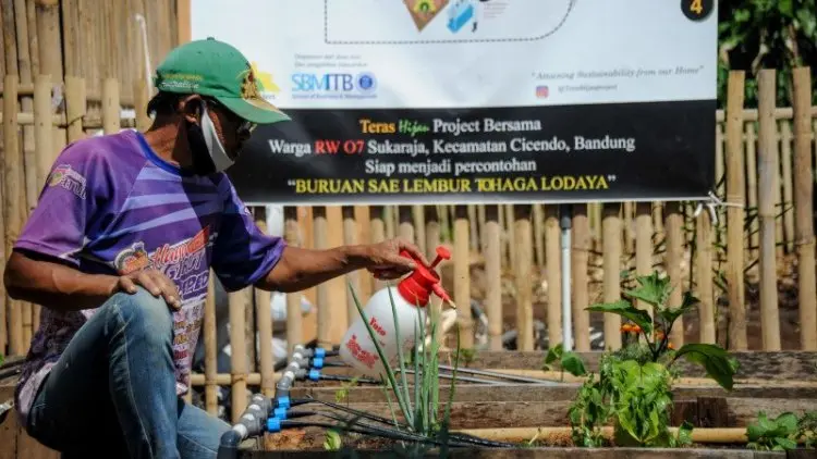 Distan Karawang bagikan benih ke masyarakat untuk ditanam mandiri