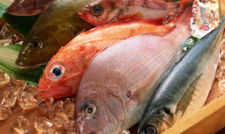 Ingat! Nutrisi pada Ikan Membuat Anak Makin Pintar