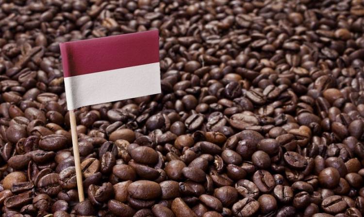 Ketika Kopi Indonesia Jadi Primadona di Belanda