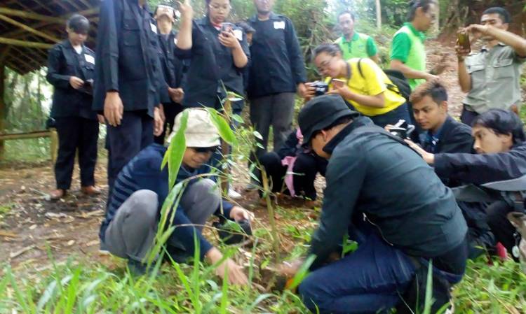 Citarum Akademi Tanam Bambu di Hutan