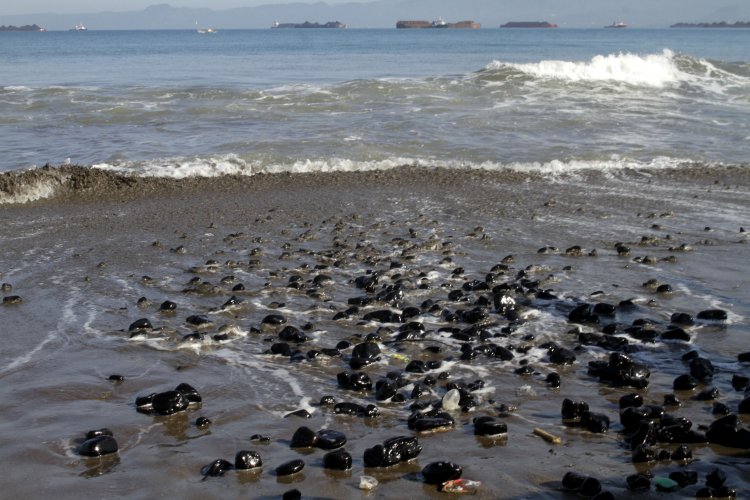 Duh, Wisatawan Tak Jaga Kebersihan Pantai Sukabumi