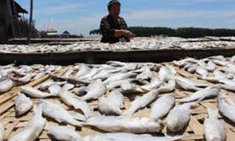 Mengenal Ikan Asin, Lauk Favorit Masyarakat Indonesia