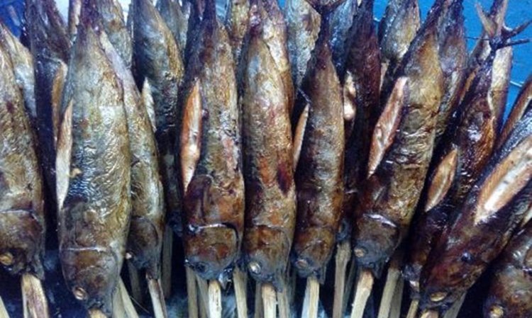 Kandungan Ikan Tongkol Asap yang Baik untuk Tubuh