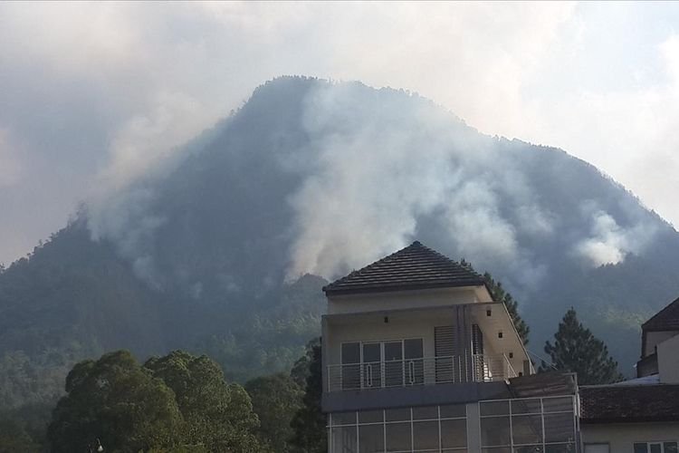 KPH Malang Padamkan Karhutla Di Gunung Panderman - Inilahkoran.id