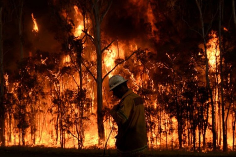 Pantai Timur Australia Berjuang Hadapi 100 Kebakaran Hutan