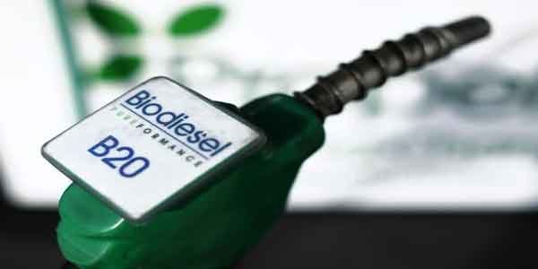 Permintaan Biodiesel Tinggi, Berkah untuk Aprobi
