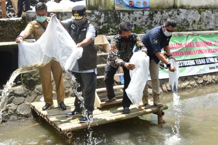 Uu Ruzhanul Tebar 77 Ribu Benih Ikan di Tasikmalaya