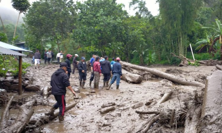 Pemkab Bogor Investigasi Bencana Gunung Mas, Ini Alasannya....