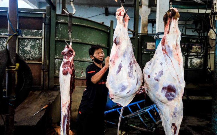 Stok Daging Sapi di Kota Bandung Aman Hingga Tiga Bulan ke Depan