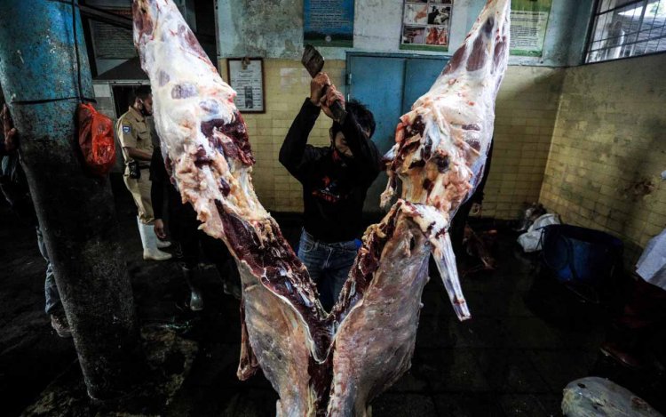 Harga Daging Sapi Melejit, Pemotongan RPH Kota Bandung Menurun