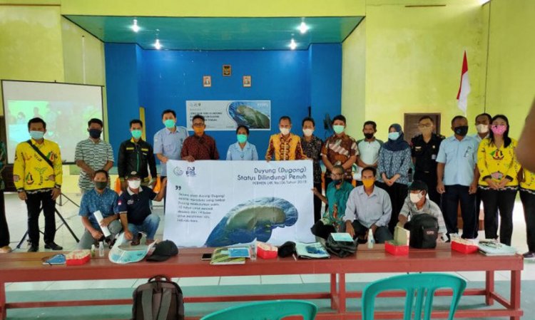 KKP Gencarkan Sosialisasi Ajak Warga Lindungi Dugong