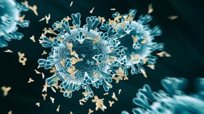 Varian Baru Virus Corona Muncul di Karawang, Ridwan Kamil Imbau Warga Tetap Tenang