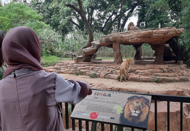 Selama Libur Lebaran 2021, Bandung Zoo Targetkan 60 Ribu Pengunjung