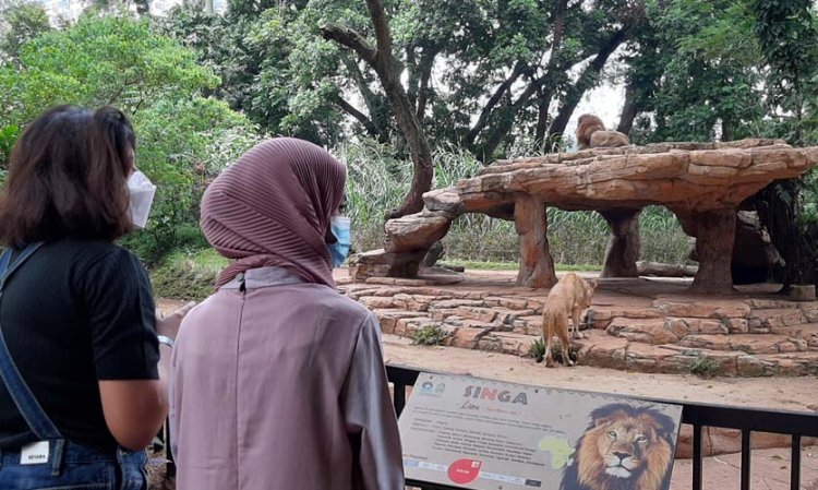 Masa Pandemi, Bandung Zoo Tempat Wisata Favorit Warga Bandung