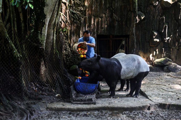 Duh, Dua calon Pengunjung Kebun Binatang Bandung Positif Covid-19