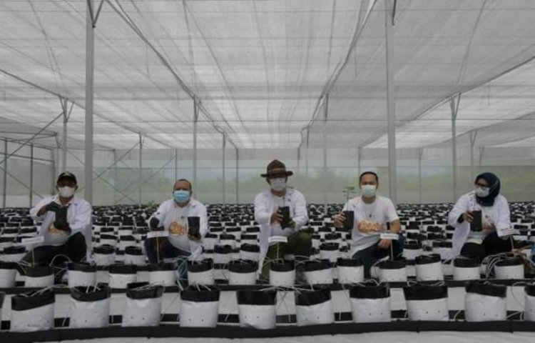 Dukung Petani Milenial, PT Agro Jabar Terapkan 4.0 Panen Melon dan Paprika