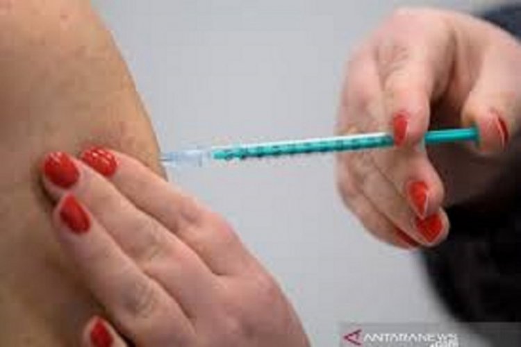 Pfizer, Moderna naikkan harga vaksin COVID di Uni Eropa