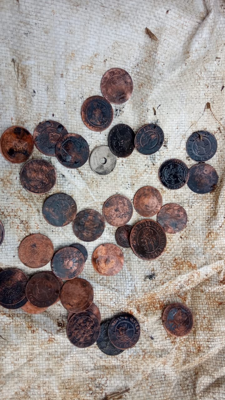 Heboh! Jejak Belanda di Desa Cimanggu, Ratusan Koin Kuno Ditemukan Warga saat Kerja Bakti