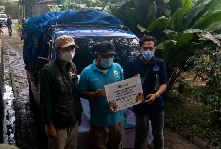 Kesulitan Pakan, Explorer Store Projects kirim 7 Ton Pakan Sayuran ke Kebun Binatang Bandung